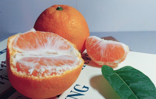 《鮮活甲魚分級》等五項團體標準征求意見