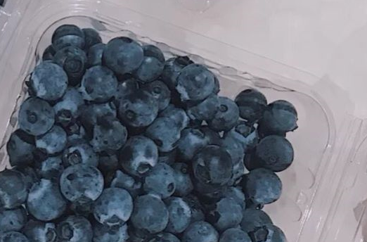 攀枝花市聯(lián)農(nóng)帶農(nóng)發(fā)展壯大藍(lán)莓產(chǎn)業(yè)