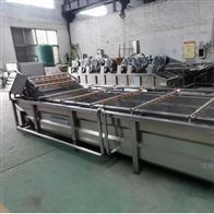 GT-6000型樱桃蓝莓草莓气泡清洗机