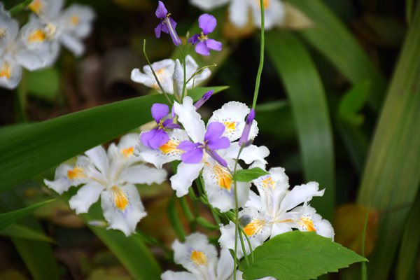 《洛陽市工業(yè)領域碳達峰實施方案》政策解讀