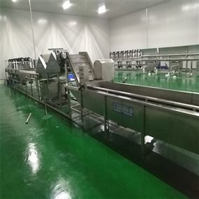根莖類蔬菜噴淋清洗機(jī)