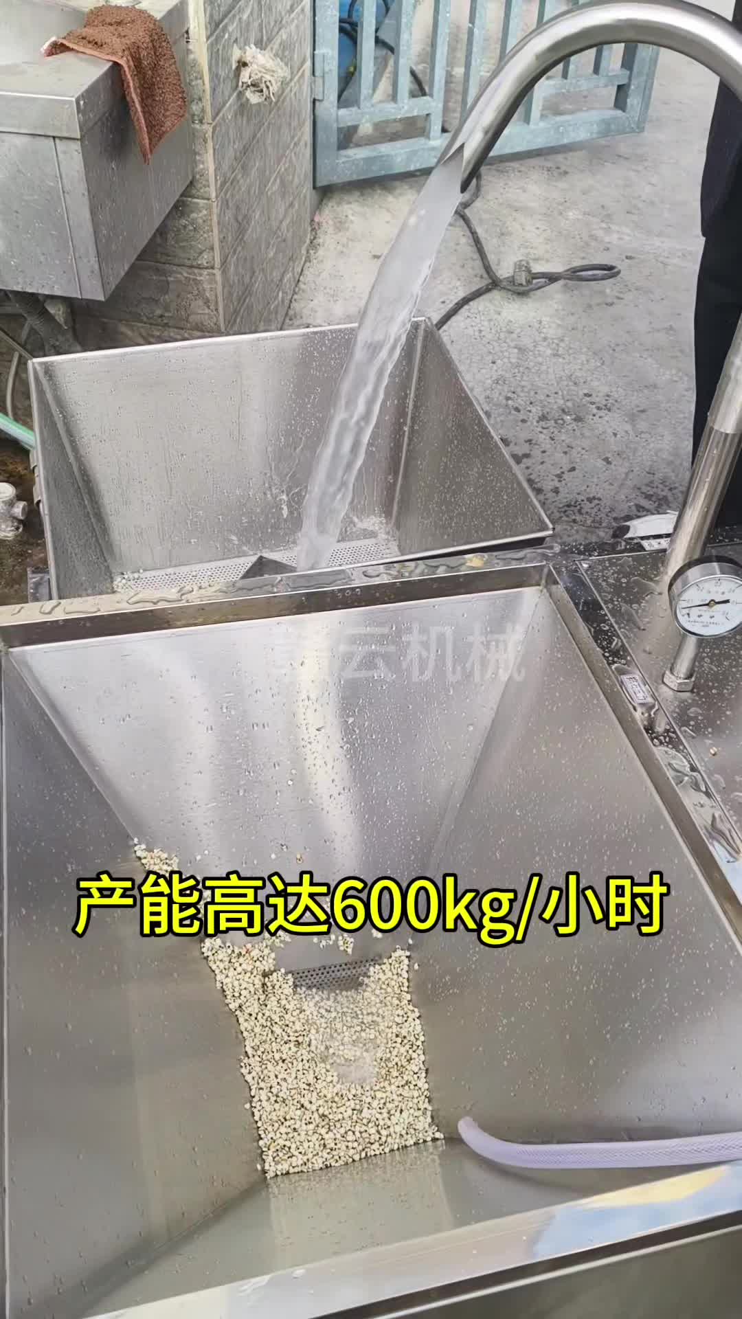 商用电动洗米机 香米 糯米 均适用