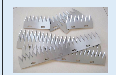 3d415e91-a2fa-4d6b-b8e2-b679d38be404