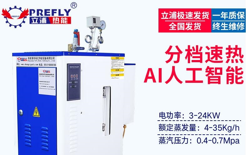电蒸汽发生器