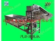 多功能果蔬清洗機 氣浴式清洗機